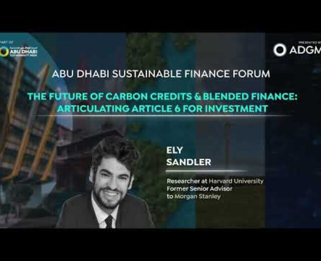 The Long term of Carbon Credit & Mixed Finance: Articulating Article 6 for Funding