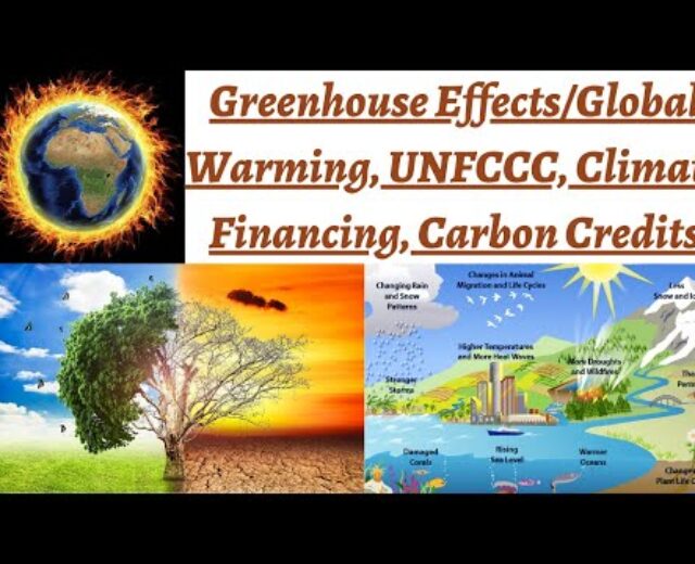 International Warming/Greenhouse Gasoline Impact, COP 24, Carbon Credit, UNFCCC, Local weather Financing Defined