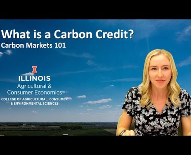 What’s a Carbon Credit score?