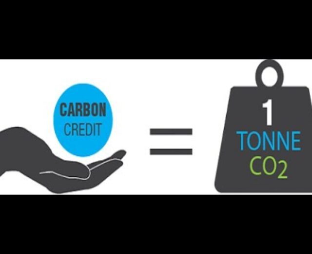 கார்பன் கிரடிட் என்றால் என்ன? அதன் முக்கியத்துவம்(What’s carbon credit score & its significance?