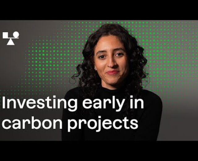 Making an investment early in carbon initiatives | BeZero Carbon