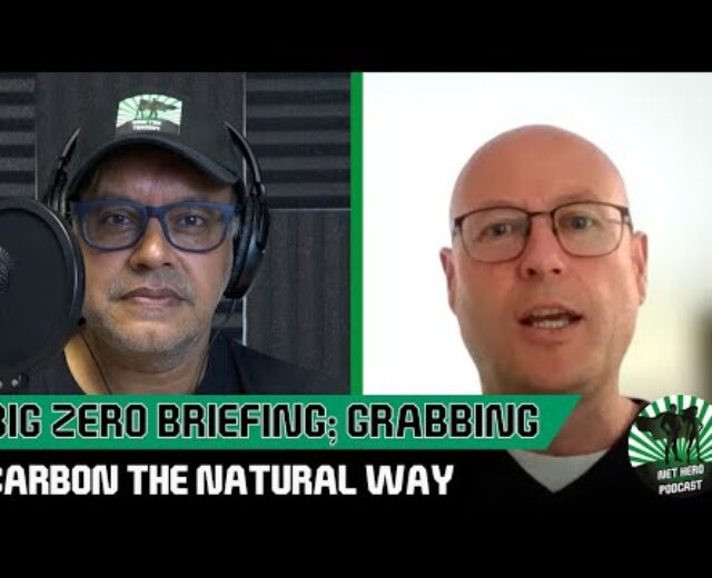 Web Hero Podcast | Giant 0 Briefing; Grabbing carbon the herbal manner