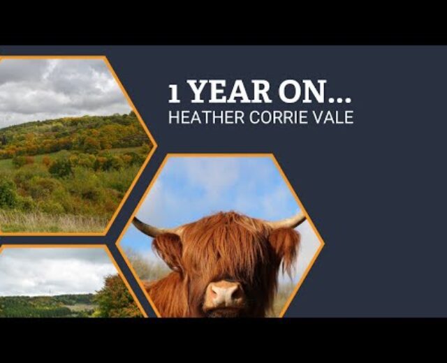 Heather Corrie Vale – 1 12 months On