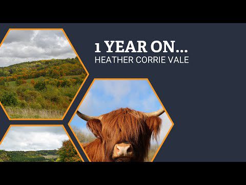 Heather Corrie Vale – 1 12 months On