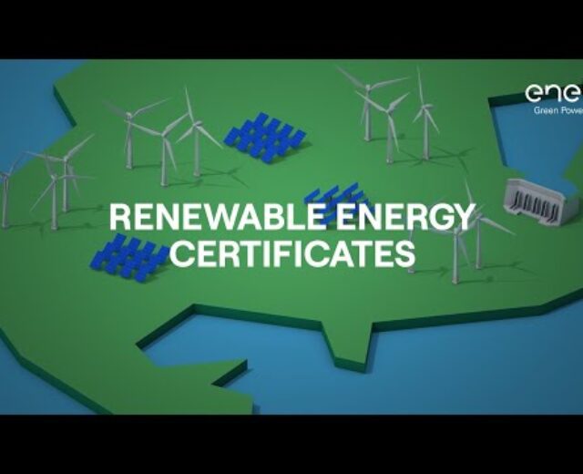 Renewable power certificate: how do they paintings?