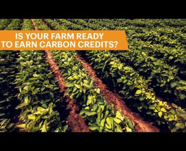Is Your Farm Able to Earn Carbon Credit? Carbon Credit Defined | Tillable