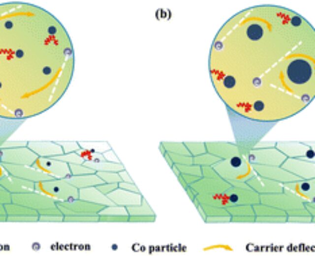 magnetism-induced-diffuse-scattering-impact-triggers-very-good-thermoelectric-efficiency