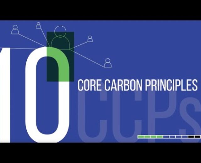 Introducing the up to date Core Carbon Ideas (CCPs)