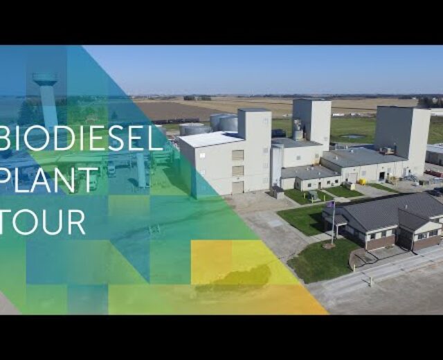 Renewable Power Staff Biodiesel Plant Excursion