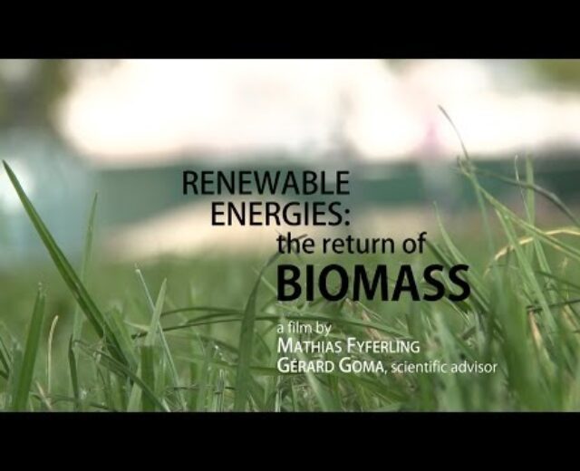 Renewable energies: the go back of biomass