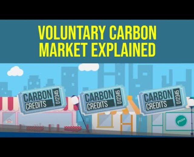 What’s the Voluntary Carbon Marketplace (VCM)?