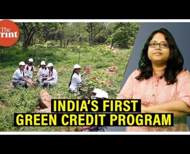 Pass inexperienced, earn inexperienced: What’s India’s 1st Inexperienced Credit score scheme to praise eco-friendly movements