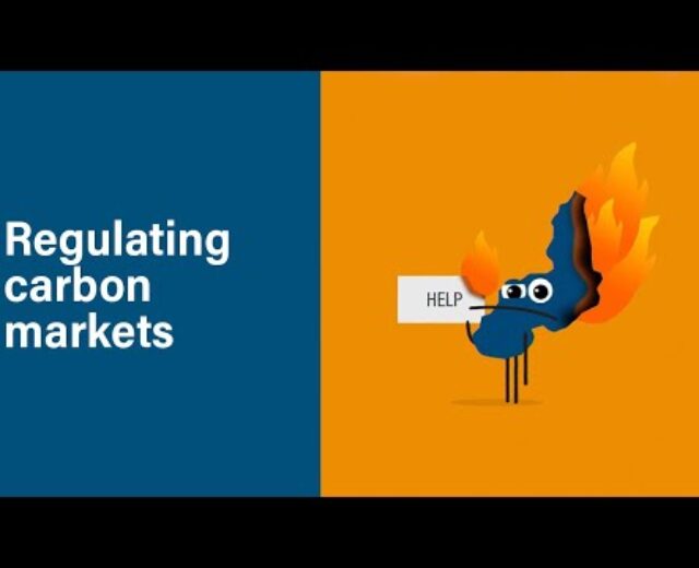 Making the Paris Settlement Paintings: Carbon Markets
