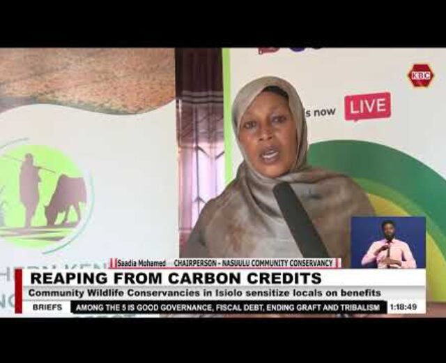 Group Natural world Conservancies in Isiolo sensitize locals on advantages carbon credit score