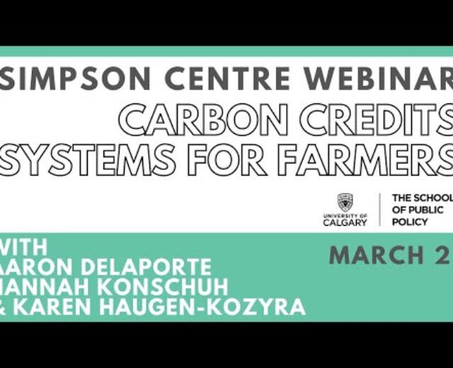 Carbon Credit Techniques for Farmers – Price Added?