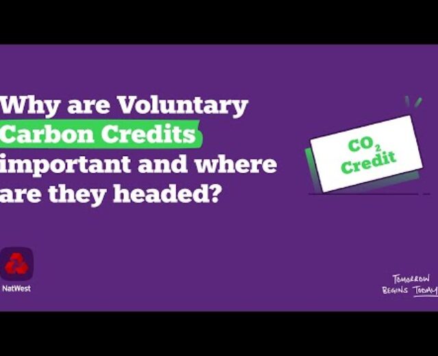 Why are Voluntary Carbon Credit vital, and the place are they headed?