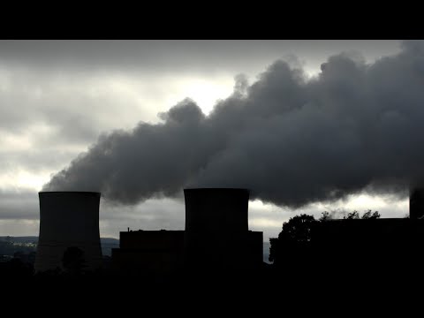 Hard work ‘now not forcing any corporate’ to shop for carbon credit